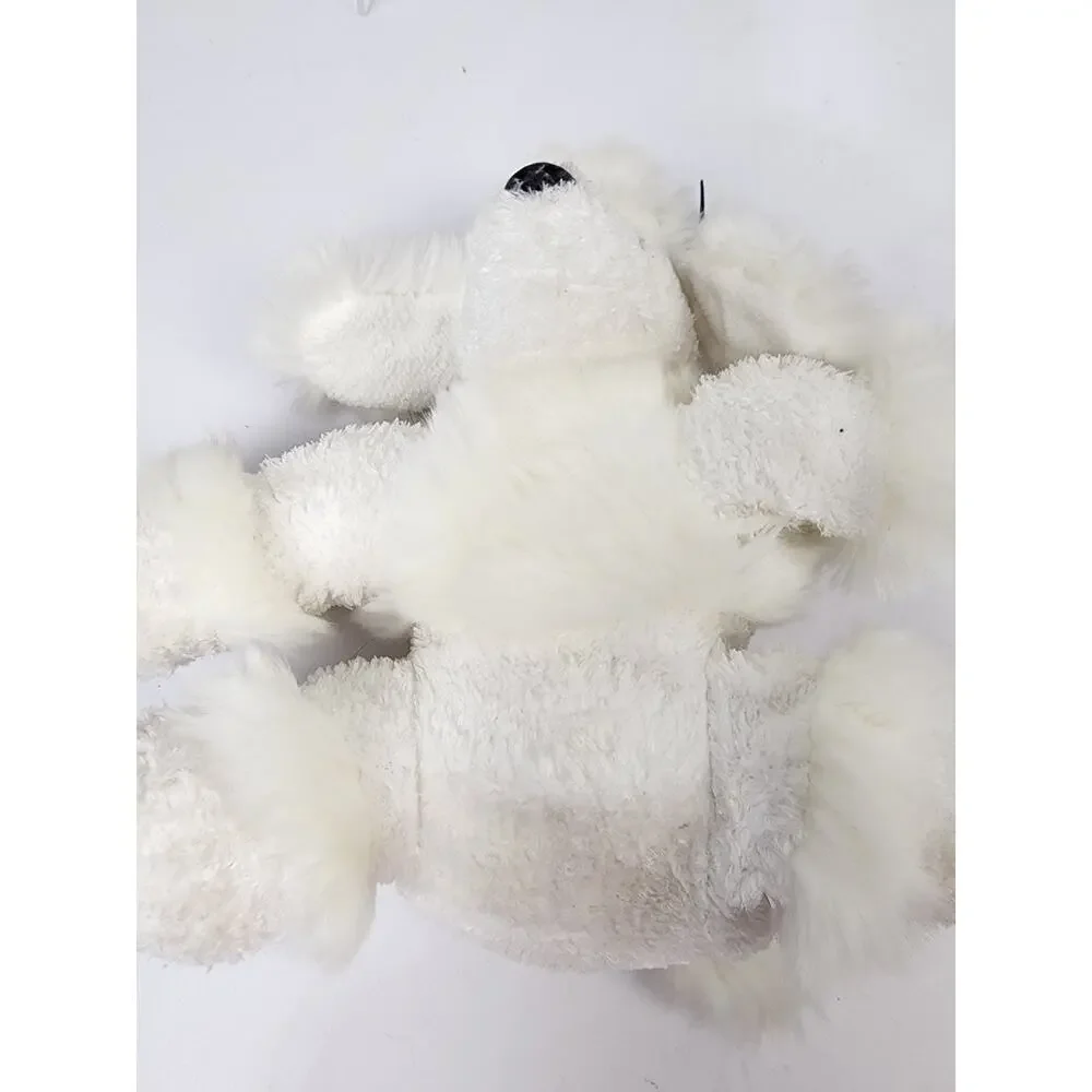 White French Poodle Dog 9